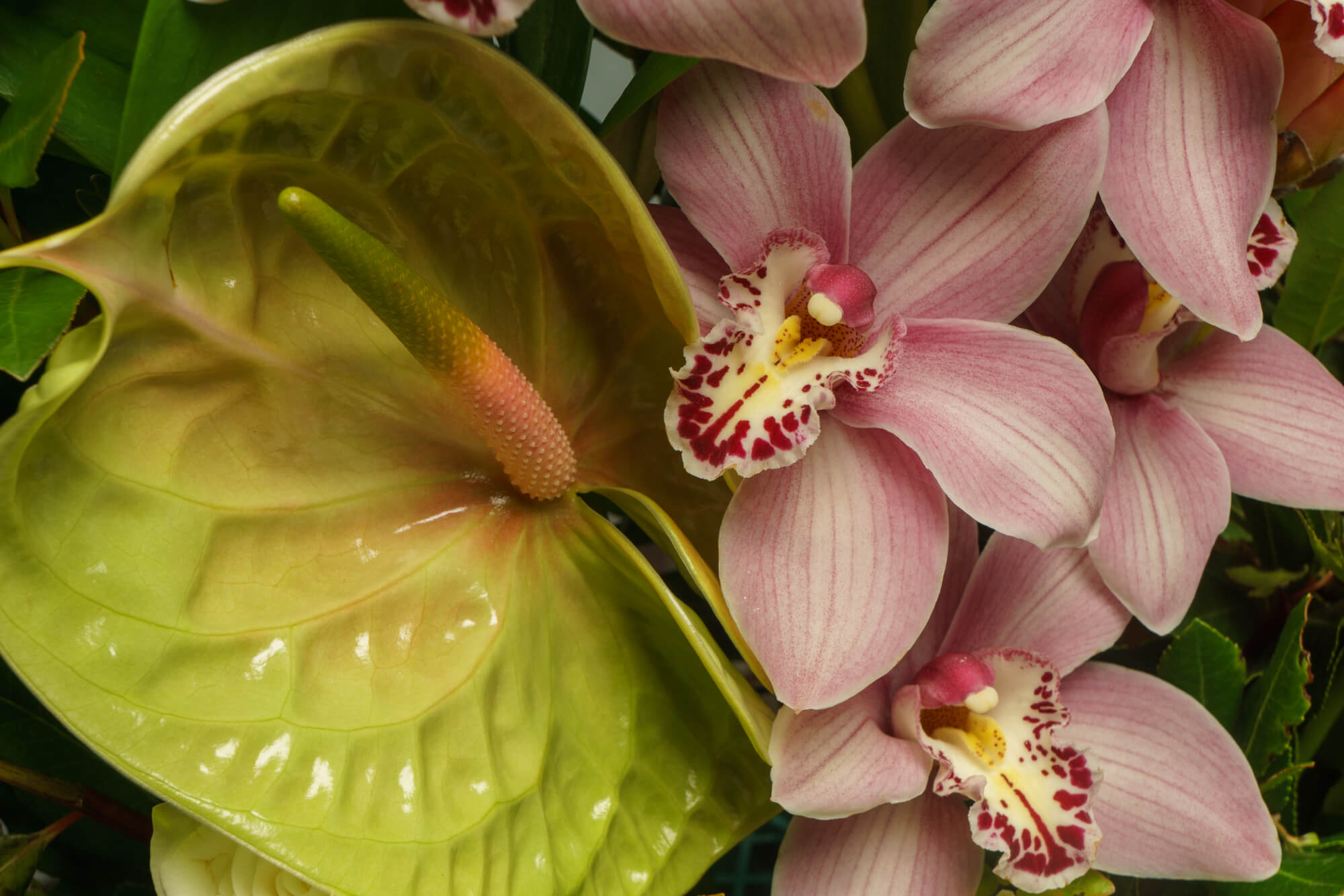 funeralflowers.gr (200)