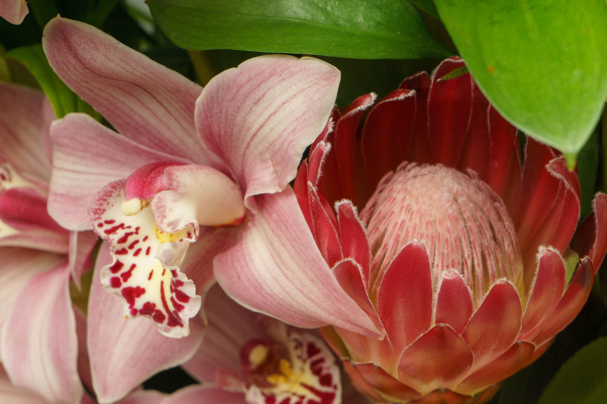 funeralflowers.gr (201)