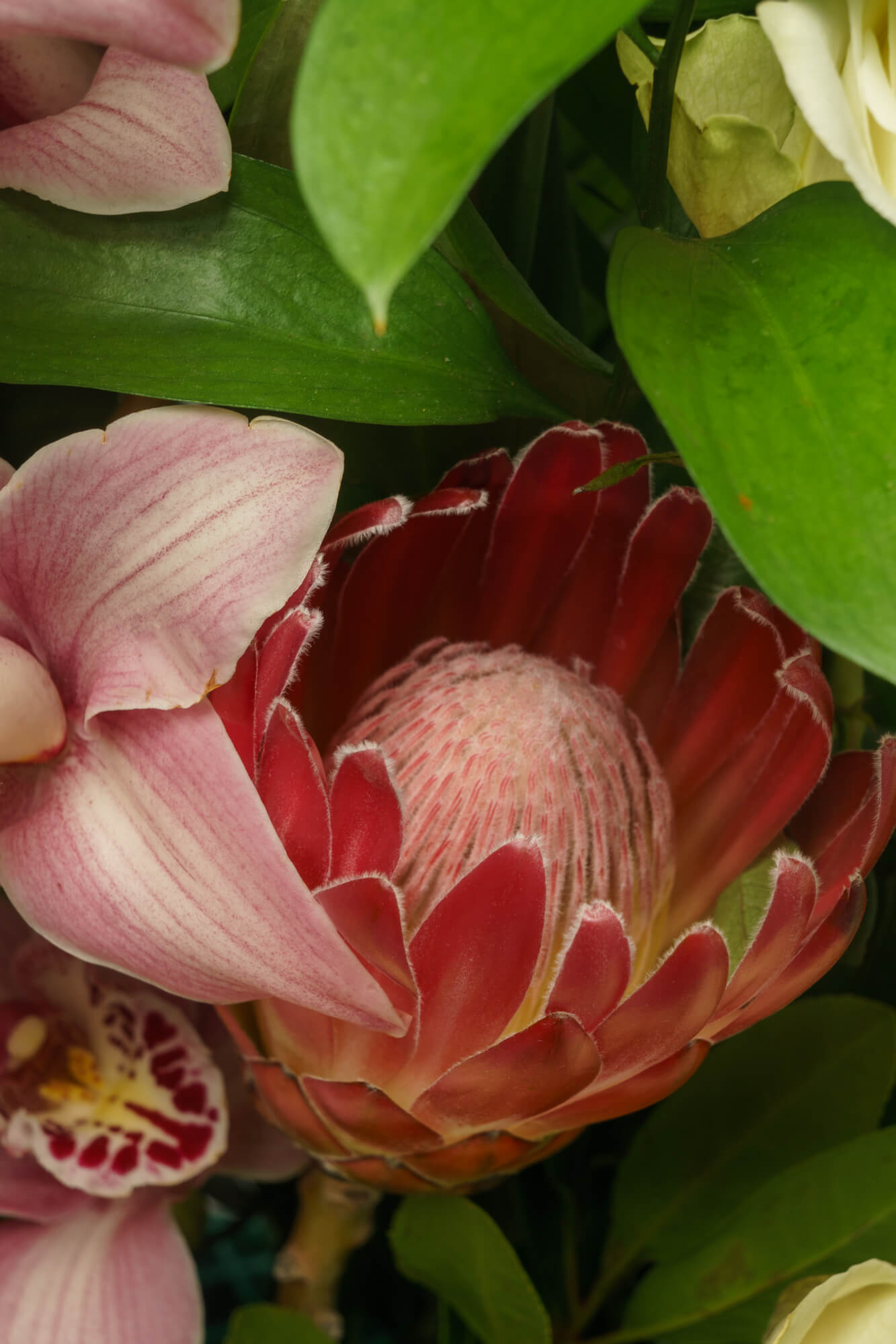 funeralflowers.gr (202)