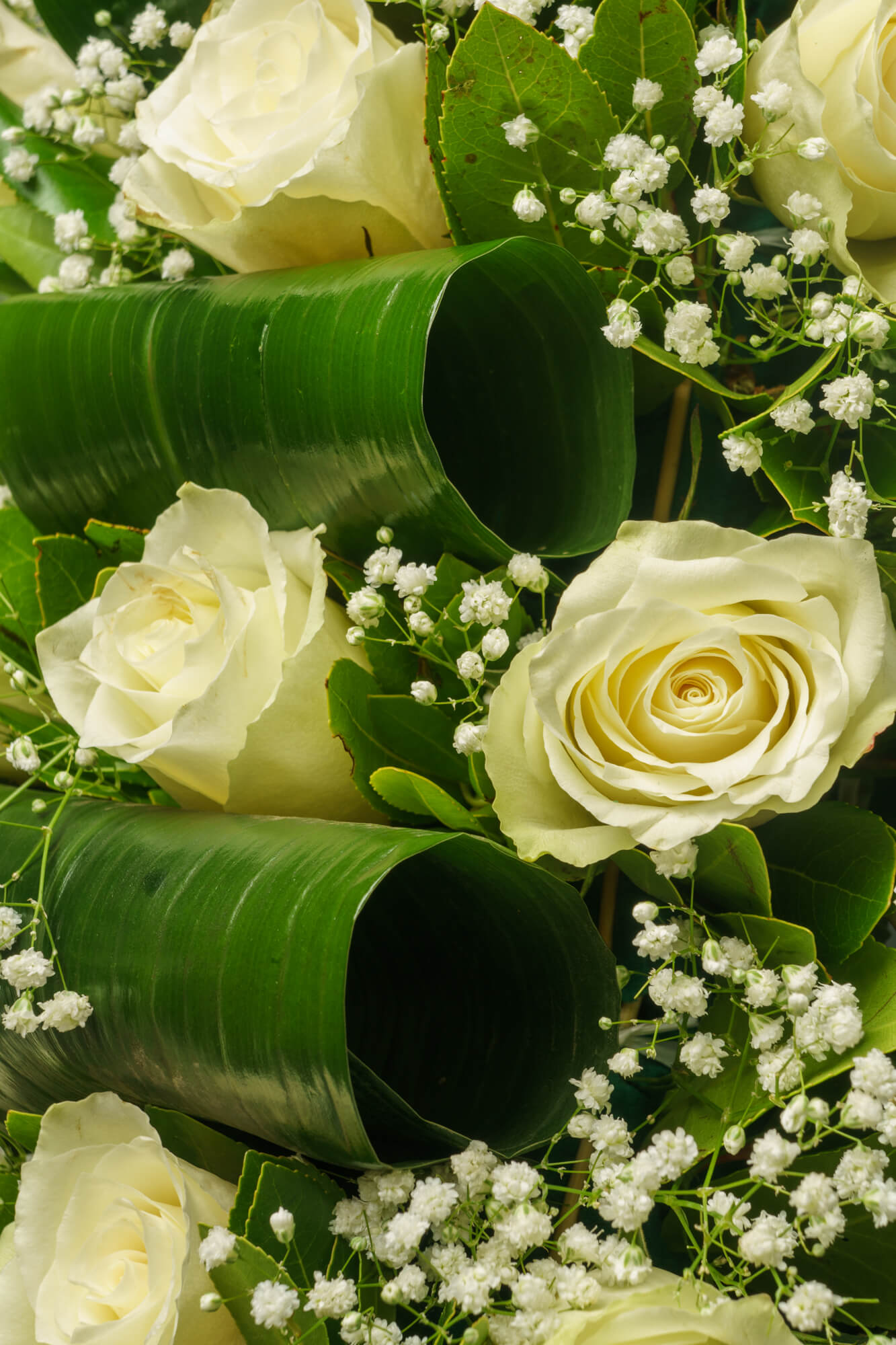 funeralflowers.gr (210)