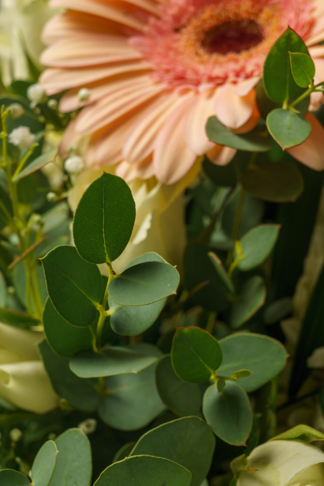 funeralflowers.gr (217)