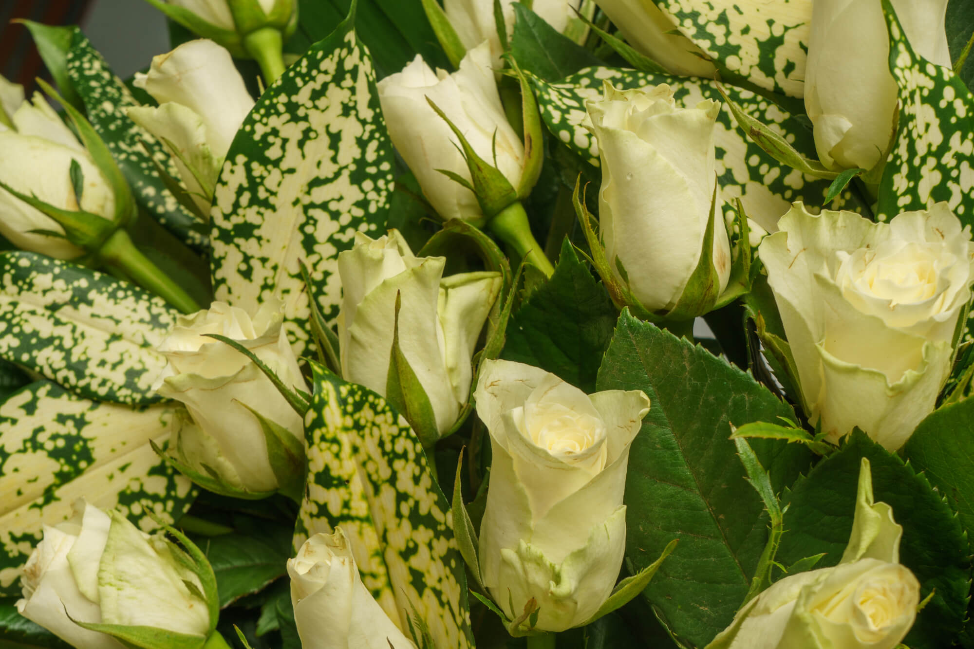 funeralflowers.gr (236)