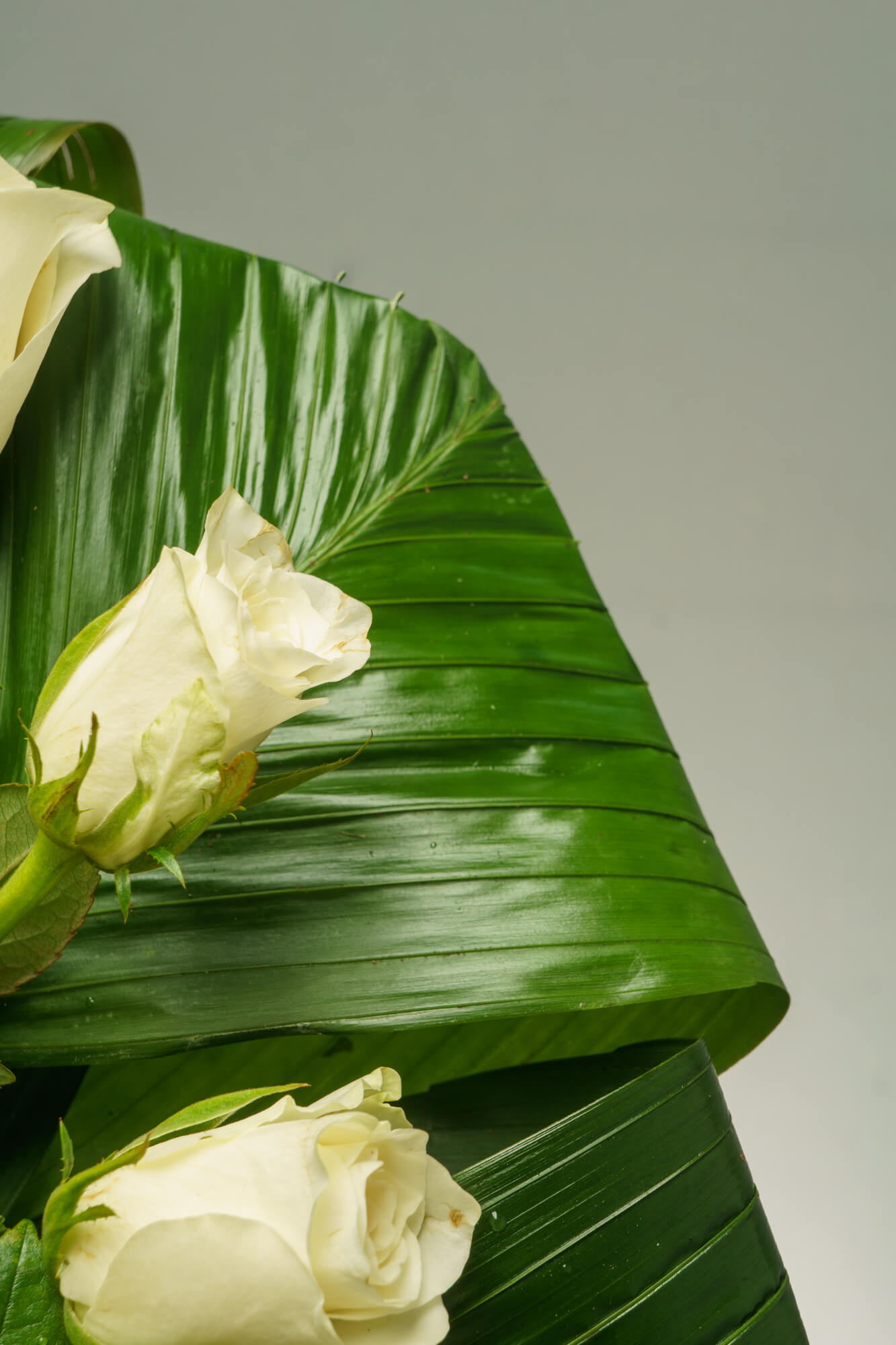 funeralflowers.gr (238)