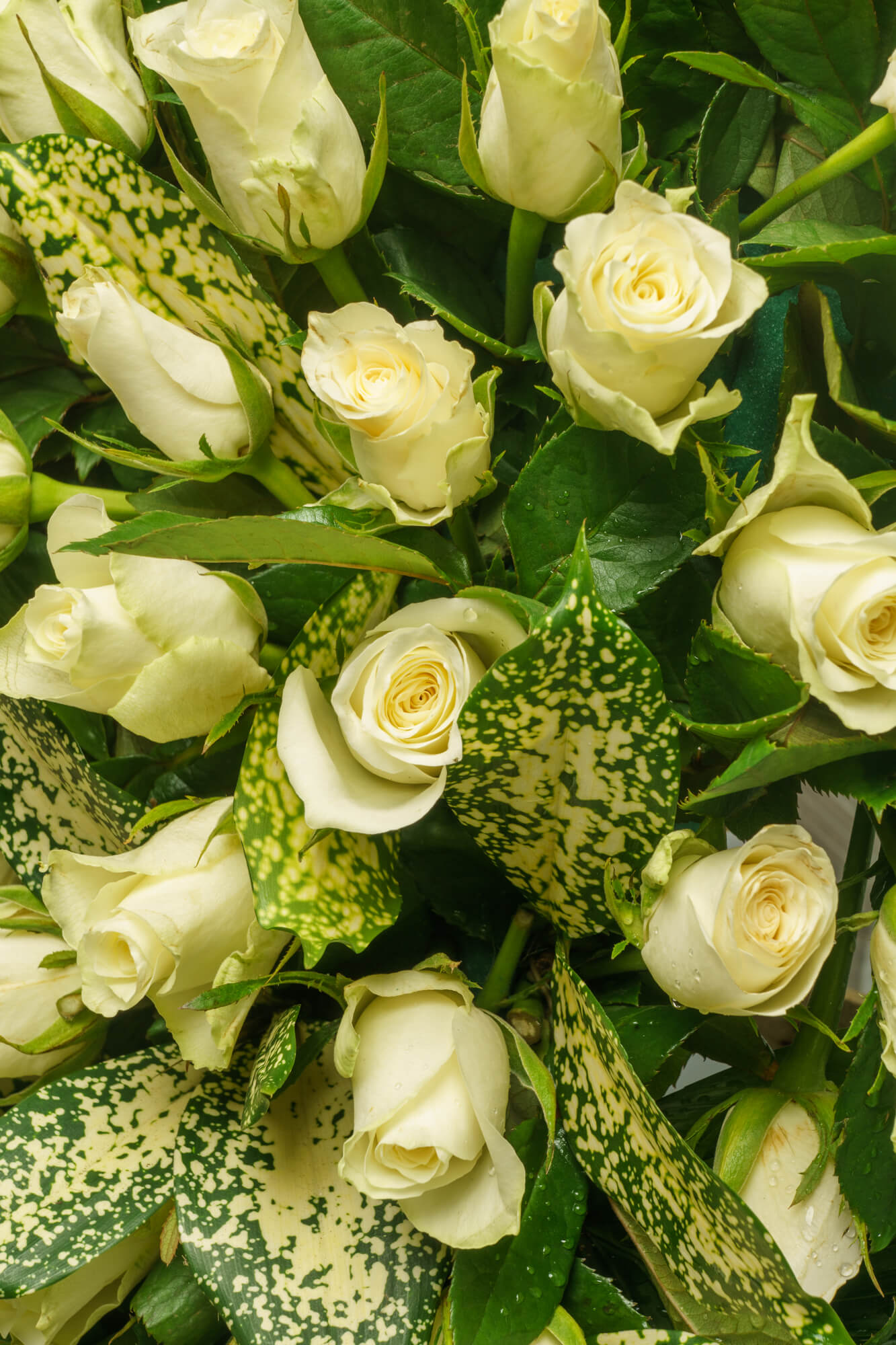 funeralflowers.gr (239)