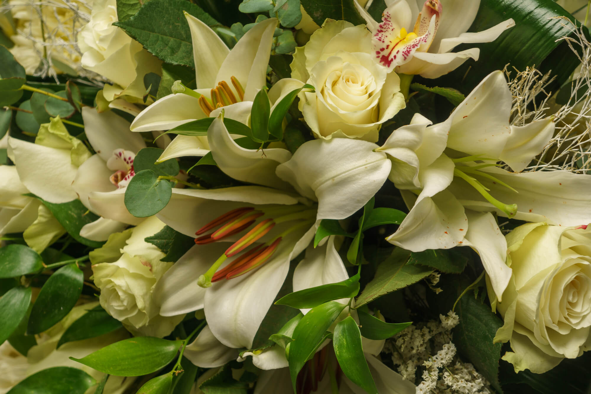 funeralflowers.gr (245)
