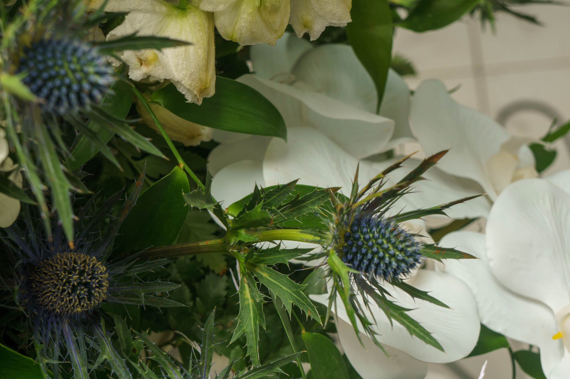 funeralflowers.gr (247)